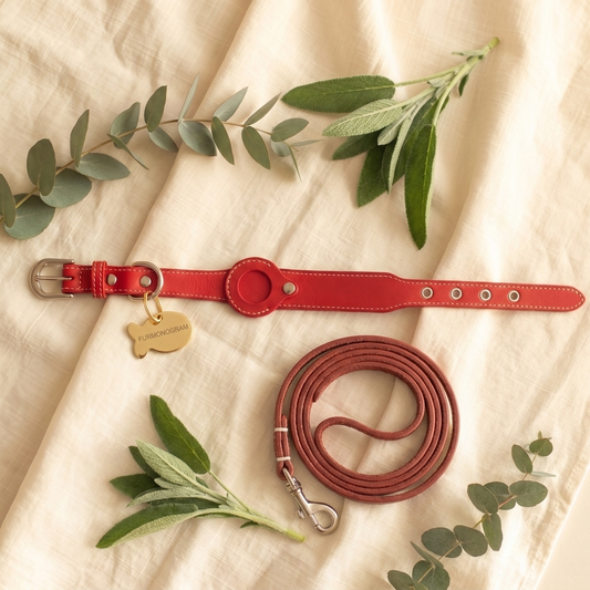 The Complete Set — Red leather collar, matching leash and Gold engraved tag on cream linen