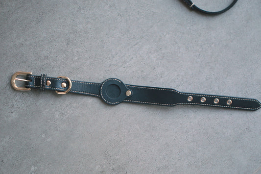 Real photo: black leather dog collar with gold hardware, front view