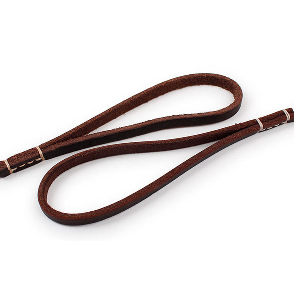 Durable leather dog leash for everyday walks — Furmonogram