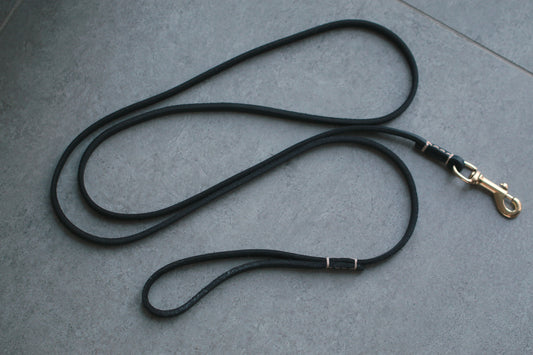 Real photo: rolled leather dog leash coiled, brass bolt-snap