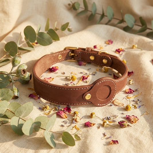 Furmonogram Complete Set — premium leather collar, matching leash and engraved ID tag