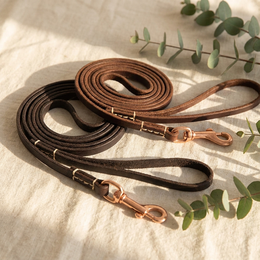 Furmonogram premium leather dog leash coiled on cream linen with eucalyptus