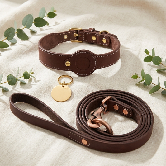 Furmonogram Complete Set from above — brown leather collar, coiled leash and gold pet ID tag on cream linen