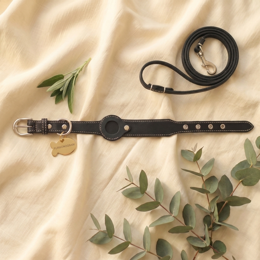 The Complete Set — Black leather collar, matching leash and Gold engraved tag on cream linen